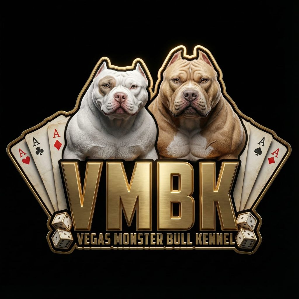VMBK Vegas